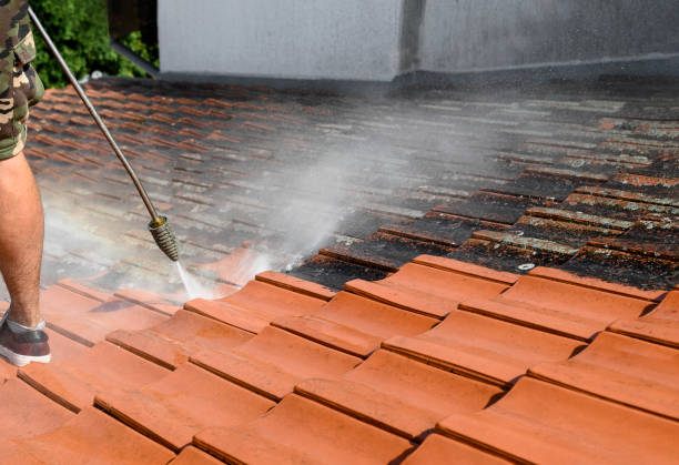Best Exterior Home Cleaning  in Kenly, NC