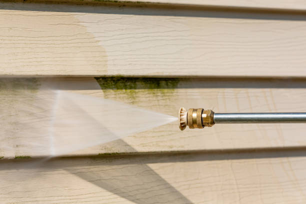 Best Exterior Home Cleaning  in Kenly, NC